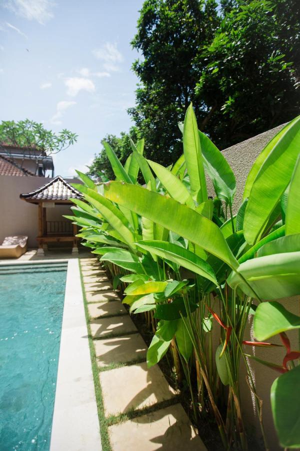 Bed and Breakfast Donguri House Bali Jimbaran Esterno foto